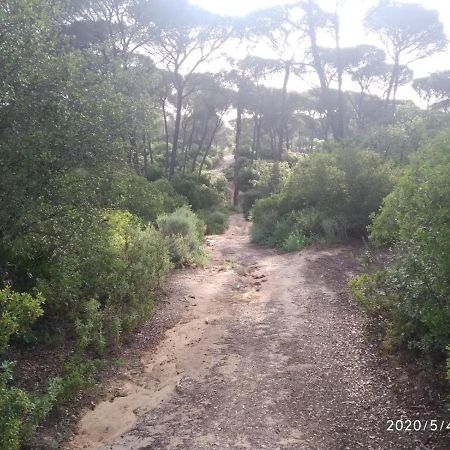 Casa Rural Los Pinos Hinojos Εξωτερικό φωτογραφία