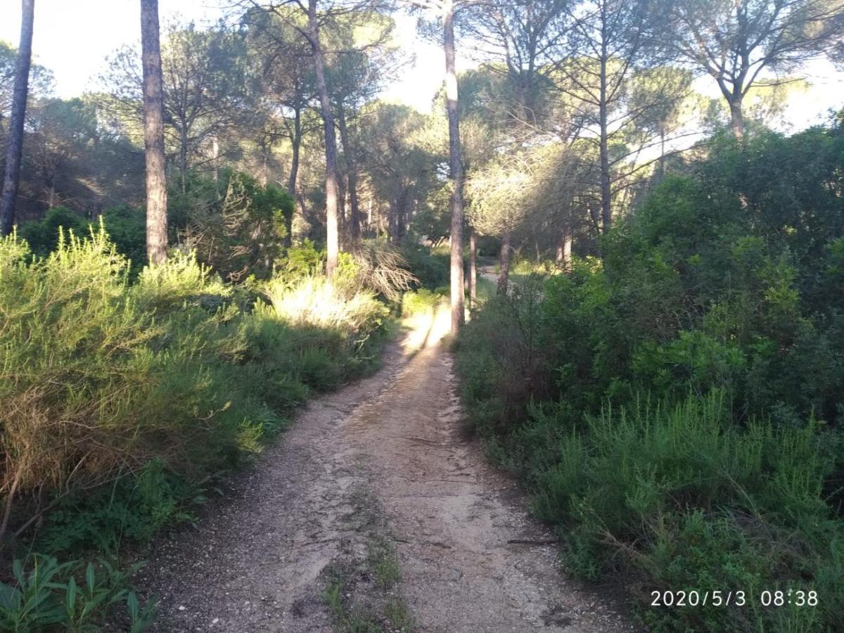 Casa Rural Los Pinos Hinojos Εξωτερικό φωτογραφία