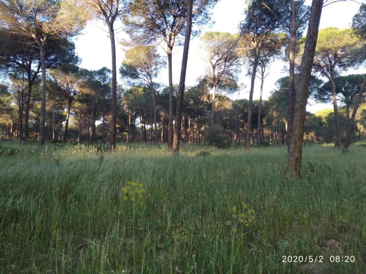 Casa Rural Los Pinos Hinojos Εξωτερικό φωτογραφία