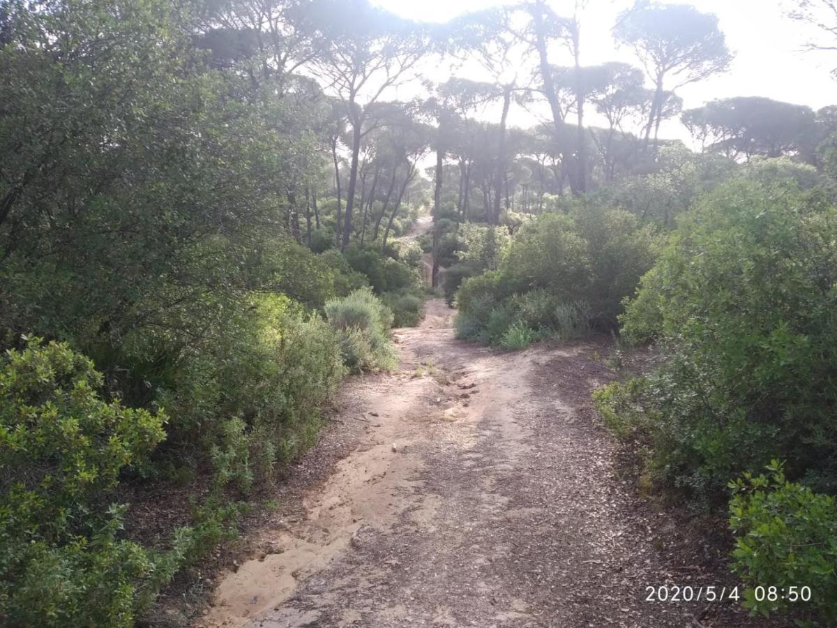 Casa Rural Los Pinos Hinojos Εξωτερικό φωτογραφία